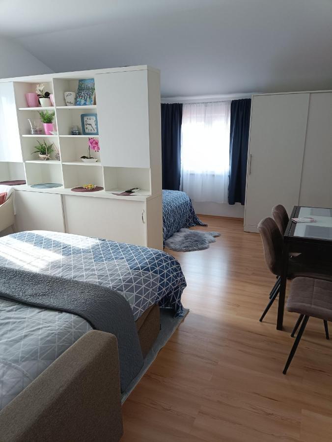 Apartment Dorina Buje Exteriér fotografie