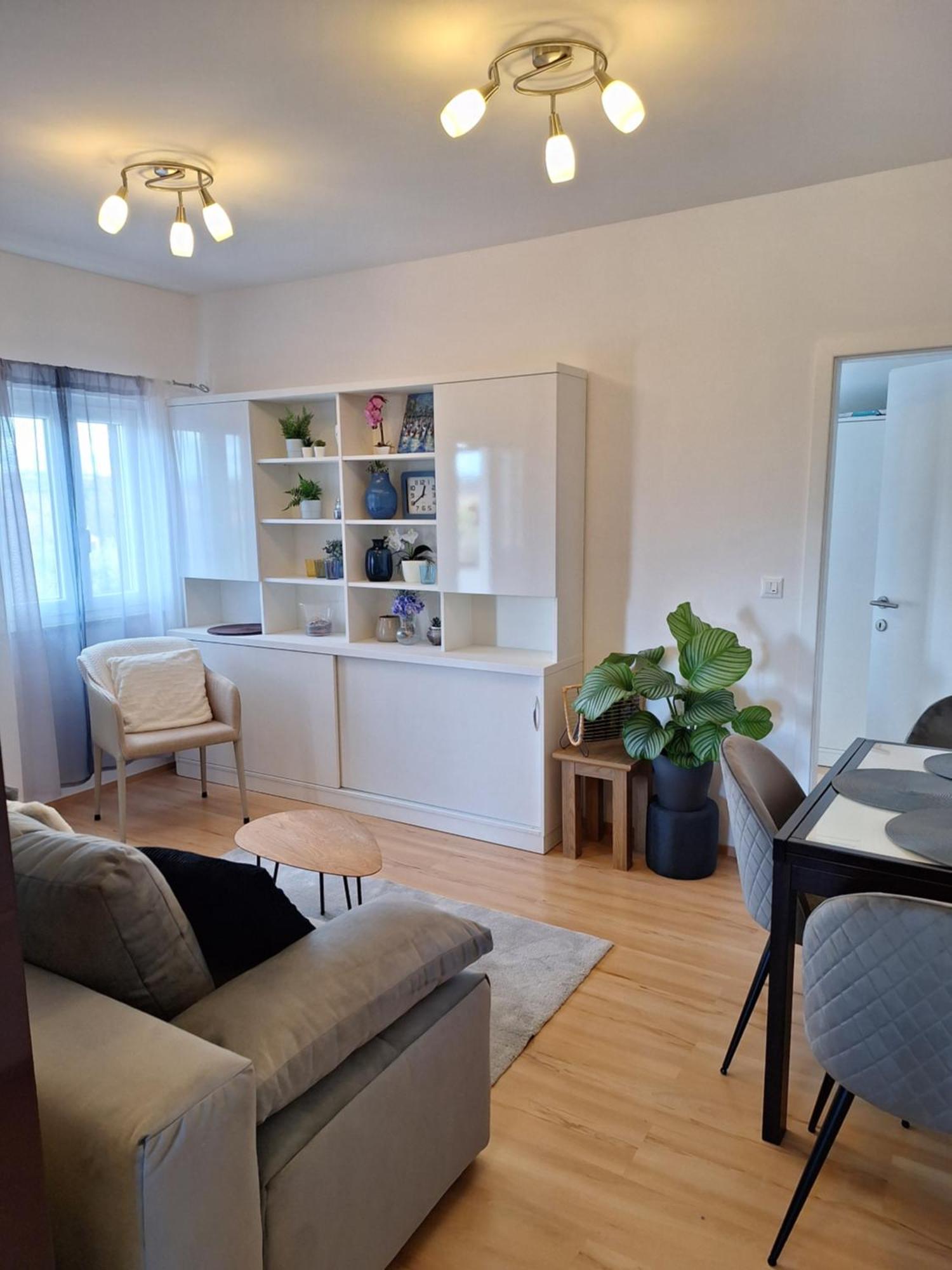 Apartment Dorina Buje Exteriér fotografie