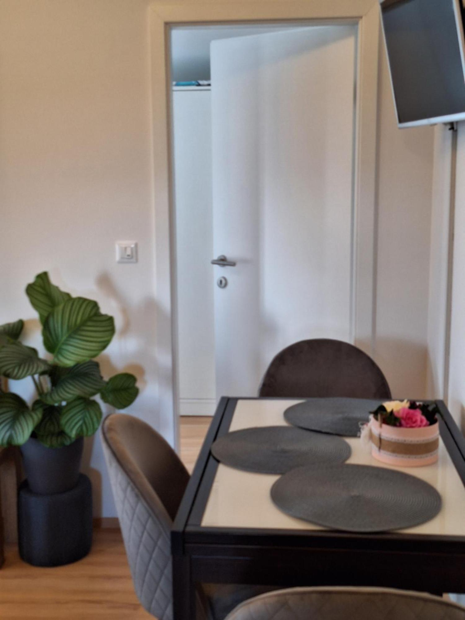 Apartment Dorina Buje Exteriér fotografie