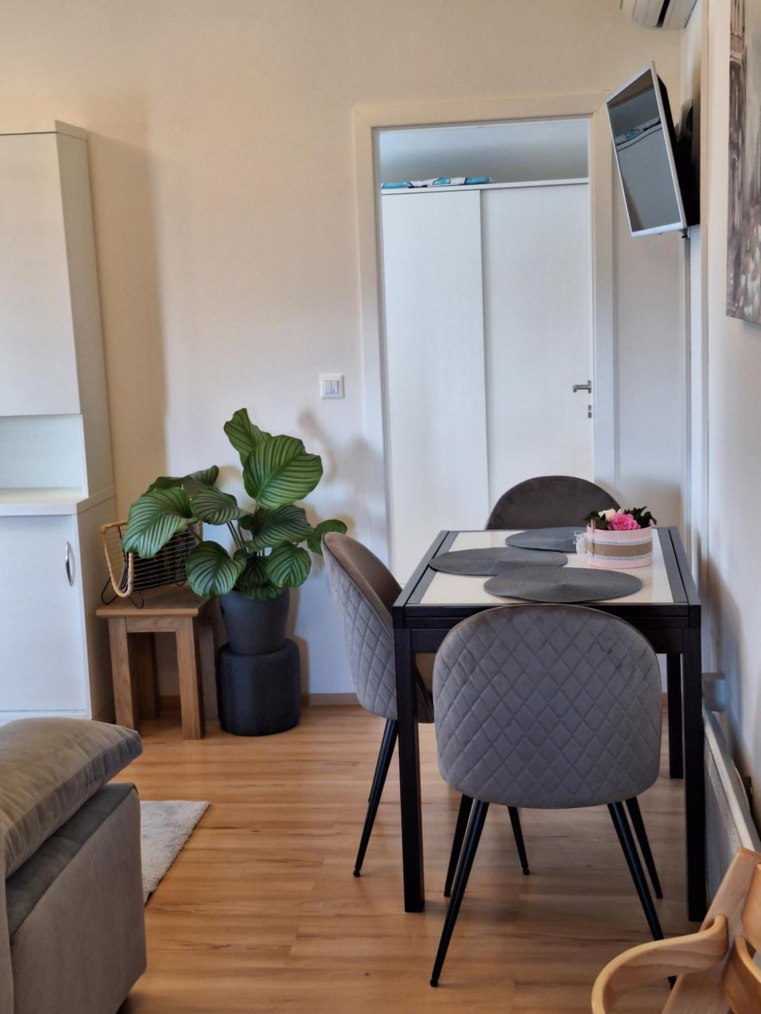 Apartment Dorina Buje Exteriér fotografie