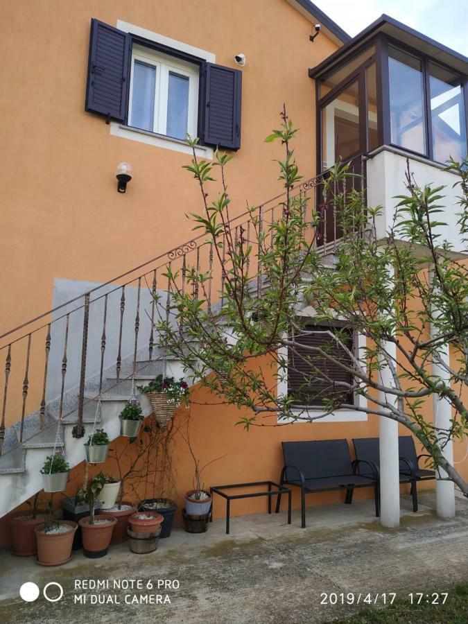 Apartment Dorina Buje Exteriér fotografie